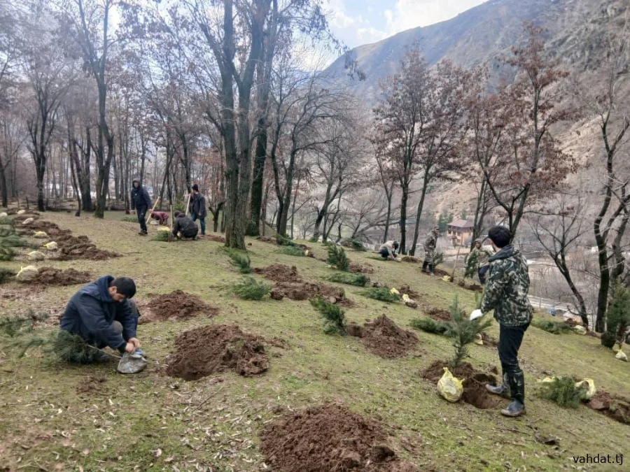 МАЪРАКАИ НИҲОЛШИНОНӢ ДАР ШАҲРИ ВАҲДАТ