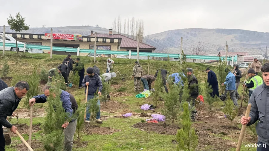 МАЪРАКАИ НИҲОЛШИНОНӢ БО ИШТИРОКИ МУОВИНИ САРВАЗИР